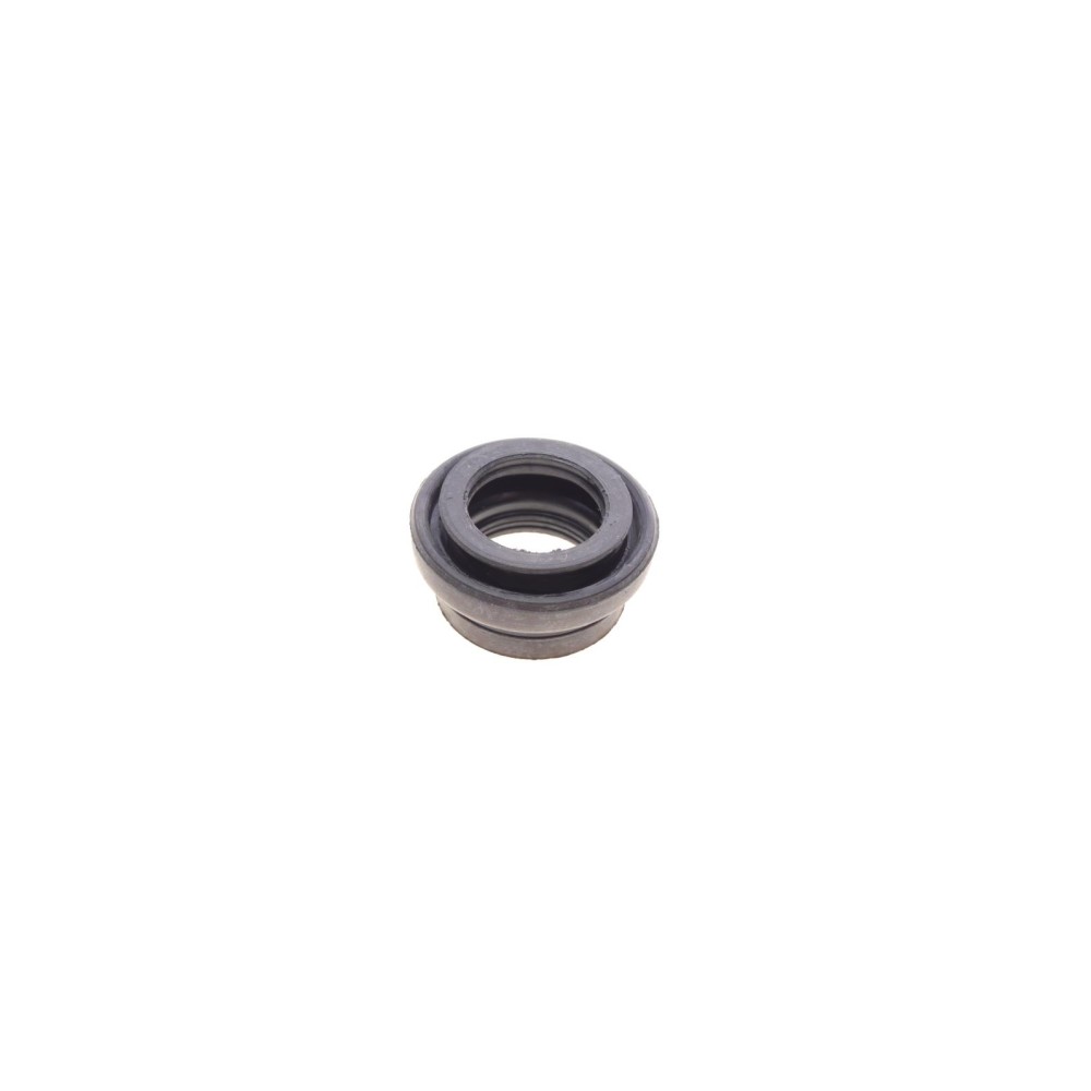 Ремкомплект супорта (заднього) Toyota Mark X 04-/Lexus IS 05- (d=43mm) (Aisin)