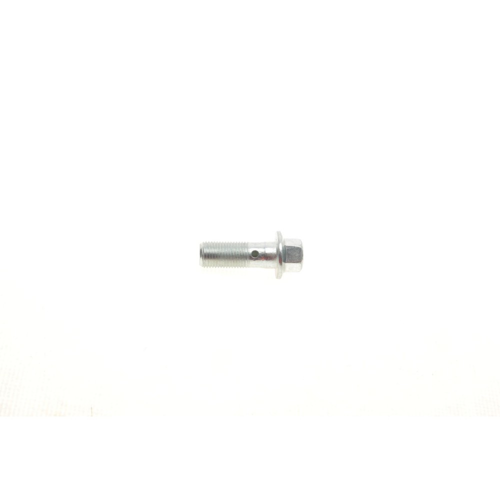 Болт Banjo (банжо) M10x1mm (11x37)