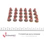 Сальник клапана (впуск/випуск) BMW X5 (E70)/X6 (E71/E72) 07-14 (к-кт) M57/N57