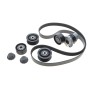 Комплект ременя генератора Renault Clio IV/Kangoo/Megane III/Scenic III 0.9/1.2 TCe 12- (7PK1605)