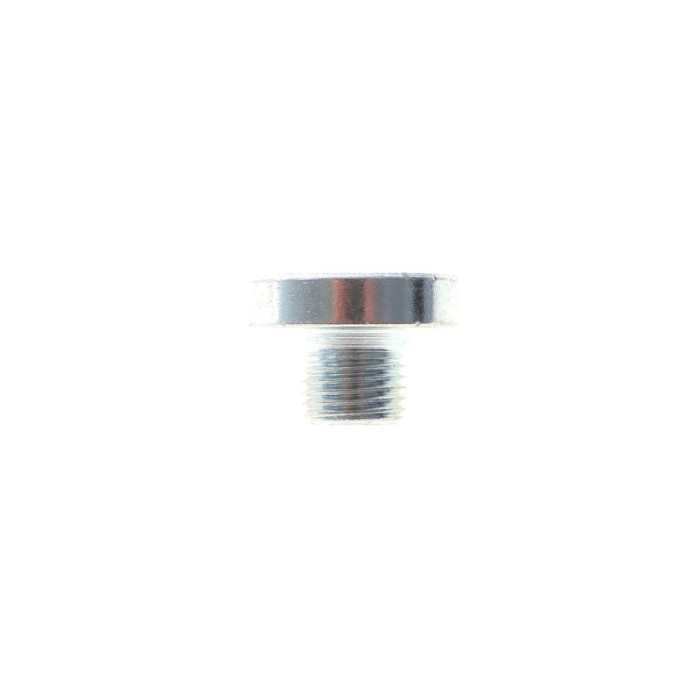 Пробка піддону картера АКПП зливна VW T5 3.2 VR6/2.5 TDI 03-09 (M10x1)