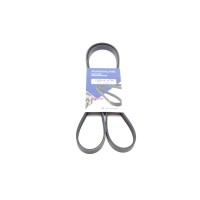 Ремінь генератора Toyota Land Cruiser 200 4.5 D-4D 07-/Man TGL/TGL 4.7/6.9 05- (4PK1389)
