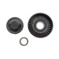 Ролик генератора Audi A4/A5/A6/A7/A8/VW Phaeton/Touareg 2.7D/3.0D/4.2D 03- (паразитний) (65x26.3)