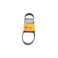 Ремінь генератора Citroen Jumper 2.5TD/2.0 94-02 (ALT)