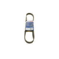 Ремінь генератора VW T4/Caddy 1.9D/TD 90-03/Toyota Corolla/Auris 1.4D 06-14/Kia Rio 1.25 17- (6PK923)