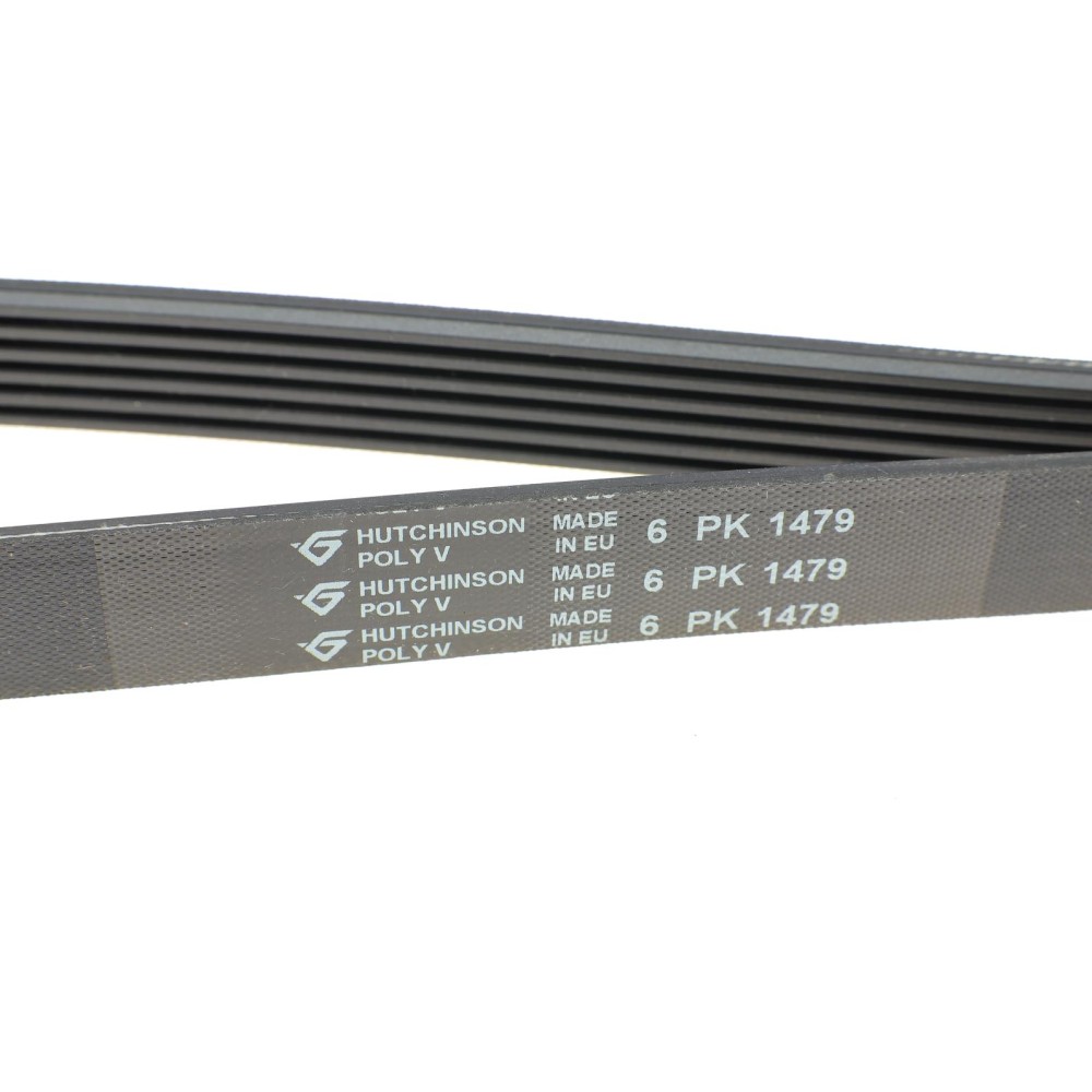 Ремінь генератора Peugeot 406 (6PK1479)