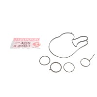 Прокладка помпи води BMW 7 (G11/G12)/X5 (G05/F95)/X7 (G07) 18- B58 B30 (к-кт)