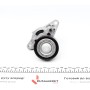 Комплект ременя генератора Renault Megane/Scenic 00-09, (5PK1750)