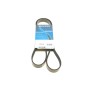 Ремінь генератора VW T4/Citroen Bipper 1.4HDI/2.4D/2.5 96-
