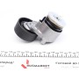 Натяжник ременя генератора Renault Kangoo 1.5dCi 05- (+AC)