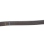 Ремінь генератора BMW 3 (E46)/7 (E65/E66/E67)/X3 (E83) 2.0/4.4D 01-10 M47/M67