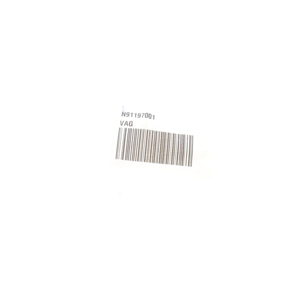 Болт натяжника ланцюга ГРМ Skoda Fabia/Octavia/VW Golf/Passat/Touran 1.4/1.6 03-