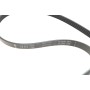 Комплект ременя генератора VW Passat 96-05 (5PK1300)