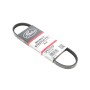 Ремінь генератора Citroen C3/C4/Peugeot 208/308 1.2 THP 13-