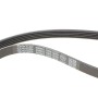 Комплект ременя генератора Peugeot Partner 1.4/1.6 96-