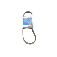 Ремінь генератора BMW X5 (E70) 3.0 si 06-08 (4PK819)