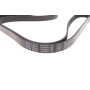 Ремінь генератора Citroen Berlingo 1.6 08-/ Hyundai Coupe/ Santa Fe/ Sonata/ Trajet 2.5-2.7 98-12