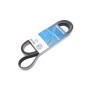 Ремінь генератора Land Rover Defender 2.5 Td5 98-16 (7PK1800)
