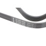 Ремінь генератора MB E-class (W210) 4.2/5.0/Audi A8 3.0D 10-18 (6PK2433)
