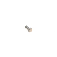 Болт турбіни (M10x1х19mm) BMW 5 (F10/F18)/X5 (F15/F85) 10- N47/B37/M51/M57