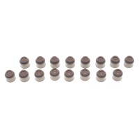 Сальник клапана (впуск/випуск) Renault Kangoo 1.2 TCe 13- /Laguna III 2.0 16V (к-кт 16шт), H5F/M4R (5.5x12.1x11.5)