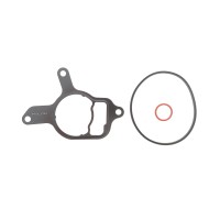Прокладка насоса вакуумного VW Golf VI/Jetta III/IV 2.5 06- (к-кт)