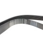 Ремінь генератора Mazda 6 2.0 MZR-CD 07-10/MPV 2.0 DI 02-06 (8PK1230)