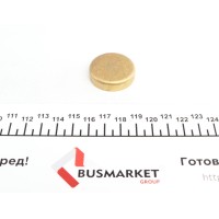 Заглушка блоку циліндрів (d=32,6mm) Латунь/Brass