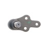 Опора кульова (передня/знизу/R) Ford Focus III 2.0 ST 12-20