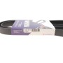 Ремінь генератора Ford Focus 1.8/2.0 04-12 (6PK1249)