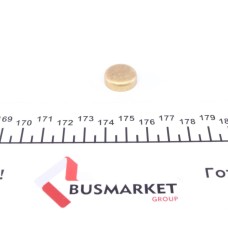 Заглушка блоку циліндрів (d=17,4mm) Латунь/Brass