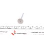 Клапан (випуск) Audi A4/A6/VW Golf V/VII 1.8TSI-4.2FSI 02- (28x6x102) (азотований)
