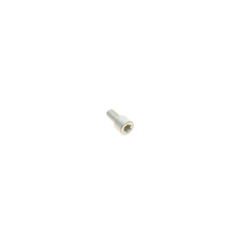 Електродвигун супорта гальмівного (заднього) VW Passat 05-10 (d=34mm)(TRW)
