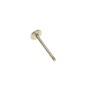Клапан (впуск) VW LT 1.9D/2.4D/2.5TDI 96-06 (36x8x96.9) (азотовані)