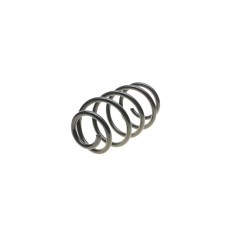 Пружина (передня) VW T5 2.0TDI/2.5TDI/3.2V6 03-15/T6 2.0TDI 15-