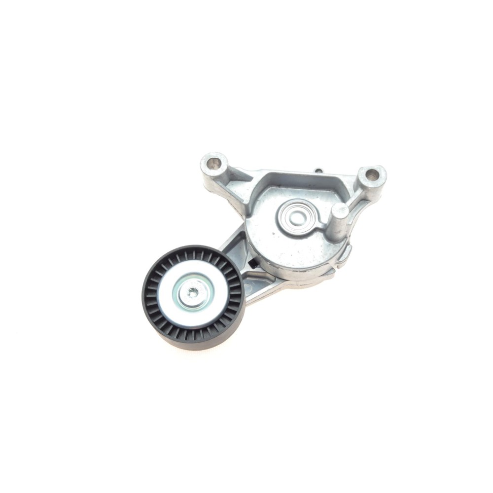 Натяжник ременя генератора VW Caddy 1.9TDI/2.0SDI 04-10 (70x25)