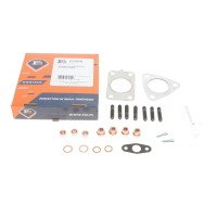 Комплект прокладок турбіни VW T4 2.5 TDI 95-03 AXL/ACV/AXG/AYH