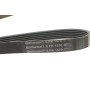 Ремінь генератора Audi A4/A6 1.6-2.0 00-08 (6PK1570)