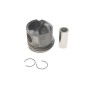 Поршень Ford Transit 2.2 TDCi 07-18 (86.50mm/+0.50)