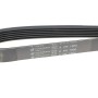 Ремінь генератора Ford Transit Connect 1.0 EcoBoost 13-
