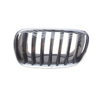 Решітка радіатора BMW X5 (E70)/X6 (E71) 06-14 (L)