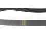 Ремінь генератора Fiat Punto/Stilo 1.9 JTD 99-06 (6PK813)