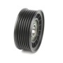 Ролик генератора Ford Focus/Fiesta/C-Max 1.0-1.6 04- (паразитний) (69x28.8)