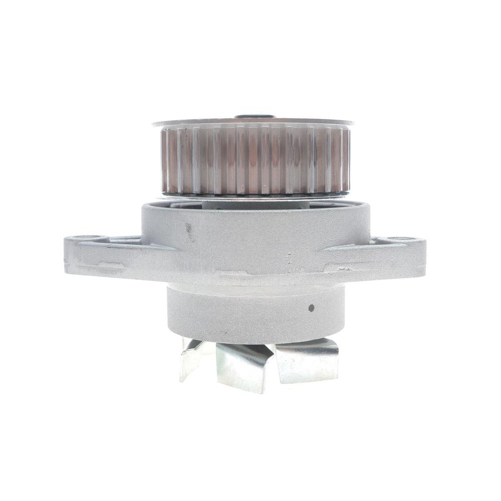 Комплект ГРМ + помпа VW Caddy/Golf/Seat Ibiza/Skoda Octavia 1.6 92-04 (19x137z)