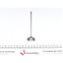 Клапан (впуск) Nissan Primastar/Opel Vivaro/Renault Trafic 1.8/2.0 98- (33.4x5.5x110.7)