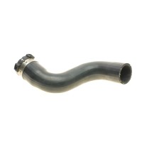 Патрубок інтеркулера (R) Renault Megane III 1.5 dCi 08-