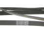 Ремінь генератора Chevrolet Lacetti/Nubira 2.0D 05-/Honda Civic IX 1.6/1.8 i-VTEC 11-16