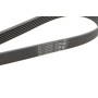 Комплект ременя генератора + помпа Audi A1/A3/Seat Ibiza/Skoda Octavia 1.4/1.6 02-
