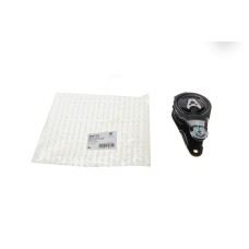 Подушка двигуна (задня) Citroen C4/Peugeot 307/308 1.8i/2.0i/2.0HDi 03-12