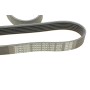 Ремінь генератора VW LT 2.5TDI 96-01/Peugeot Expert 1.9D/2.0HDI 98-